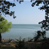 Isle du Bois