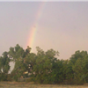 Horsethief Canyon Trail Run