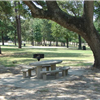 Houston Hundred and Half Hundred Ultra 