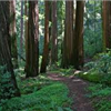 more trails
