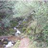American Canyon 