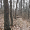 Ryan Park Trails
