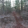 Trail