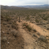 Trail