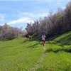 Squaw Peak 50 Mile Trail Run