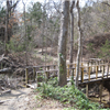 Cedar Ridge 1