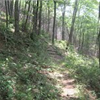 Duncan Ridge Trail