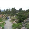 San Diego 50 and Trail Marathon 