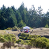 Cardiac Hill Aid Station