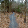 04 single track trail