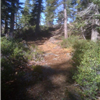 Trail