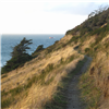 Trail along the bluff