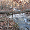 Maggie's Glen
