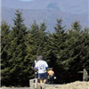 Mt Mitchell Challenge and Black Mountain Marathon