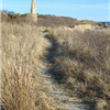 Resolution 5k Beach & Trail Race