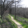 Cedar Ridge 2
