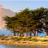 Crissy Field