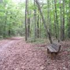 Glenora Trail