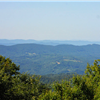 Beech Mountain Goat