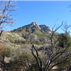 Cuyamaca St Park