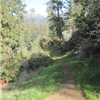 Weaver Basin Trail