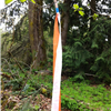 trail