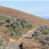  Badger Mountain Challenge