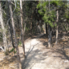 Cedar Ridge 5