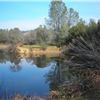 Avery Pond