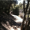 Big Bear Ridge Run