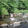 Rock creek