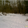 snow