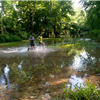 Creek crossing