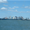 Boston Light Swim
