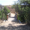 Little Bridge