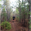 Running on a section of the trail