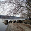 St. Edward State Park