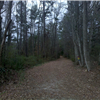 course