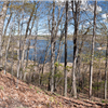 Mendon Trail Run