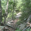 Duncan Ridge Trail