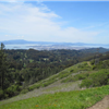 more trail