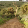 course