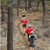 Peterson Ridge Rumble