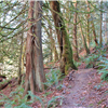 Stewart Mountain 