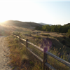 Foothills 50K Frenzy