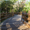 wood bridge