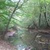 ASC Greenway 50K