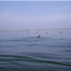 Boston Light Swim