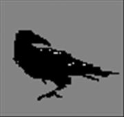 Raven Alder