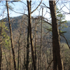 View for the White Trail